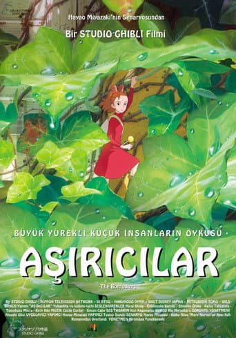 Aşırıcılar