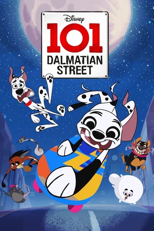101 Dalmaçyalı Sokağı