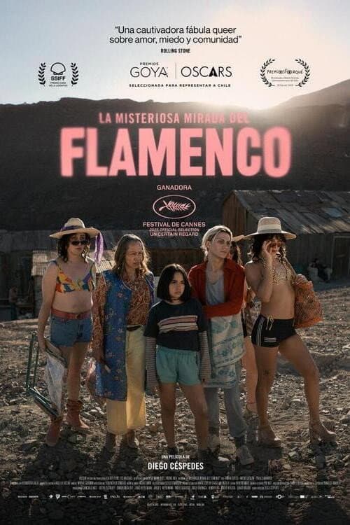 Flamingonun Gizemli Bakışı