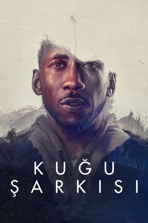 Kuğu Şarkısı